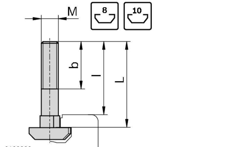 T-Bolt, N10, M8x30